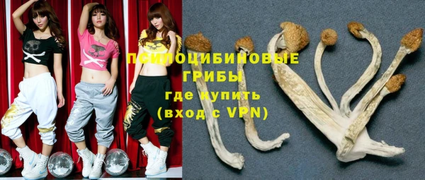 первитин Белоозёрский