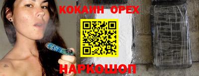 a pvp Камышлов