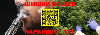 a pvp Камышлов