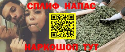 a pvp Камышлов
