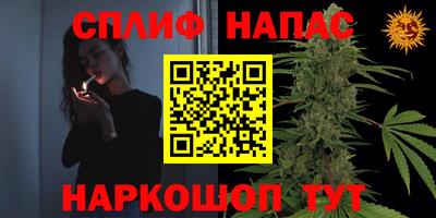 a pvp Камышлов