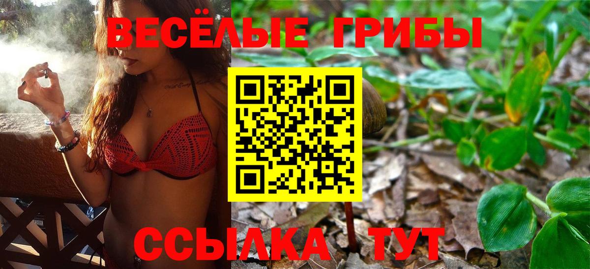 Псилоцибиновые грибы прущие грибы  Вход с VPN  Валуйки 